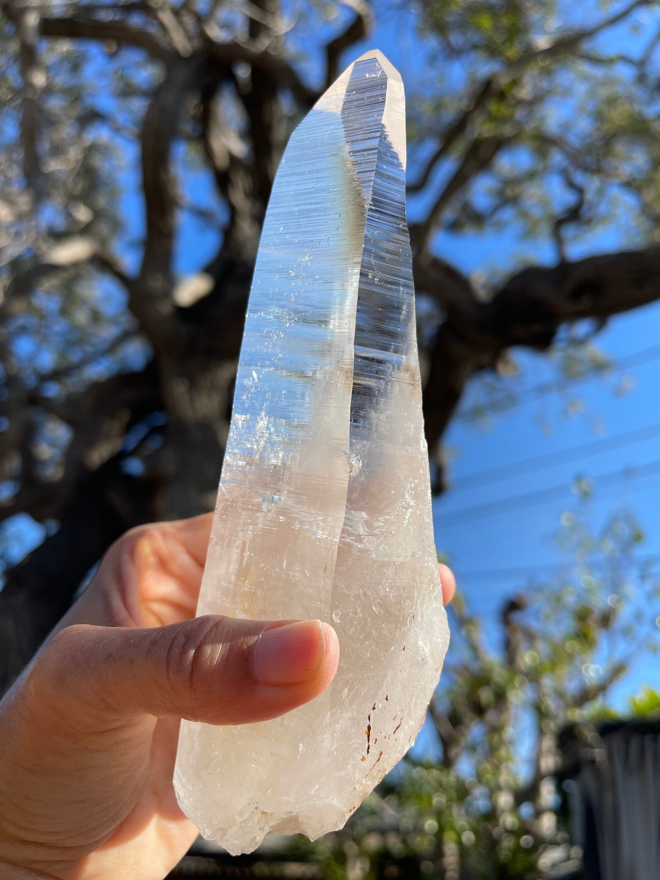 AAA Columbian Lemurian Quartz Wand: 7" Reiki-Charged Crystal for Energy Healing