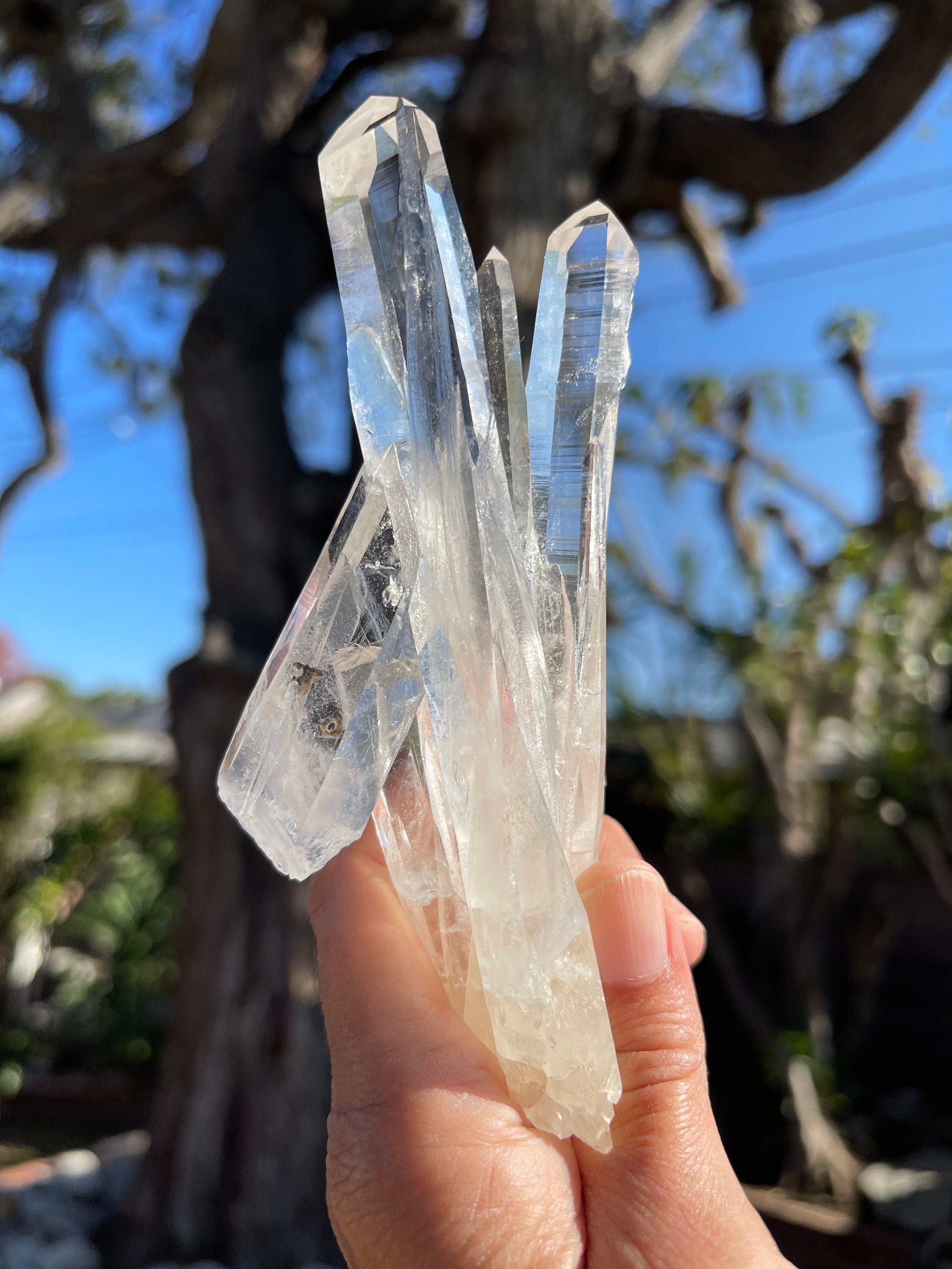 AAA Lemurian Quartz Cluster Wand: Reiki Energy Crystal, Colombia
