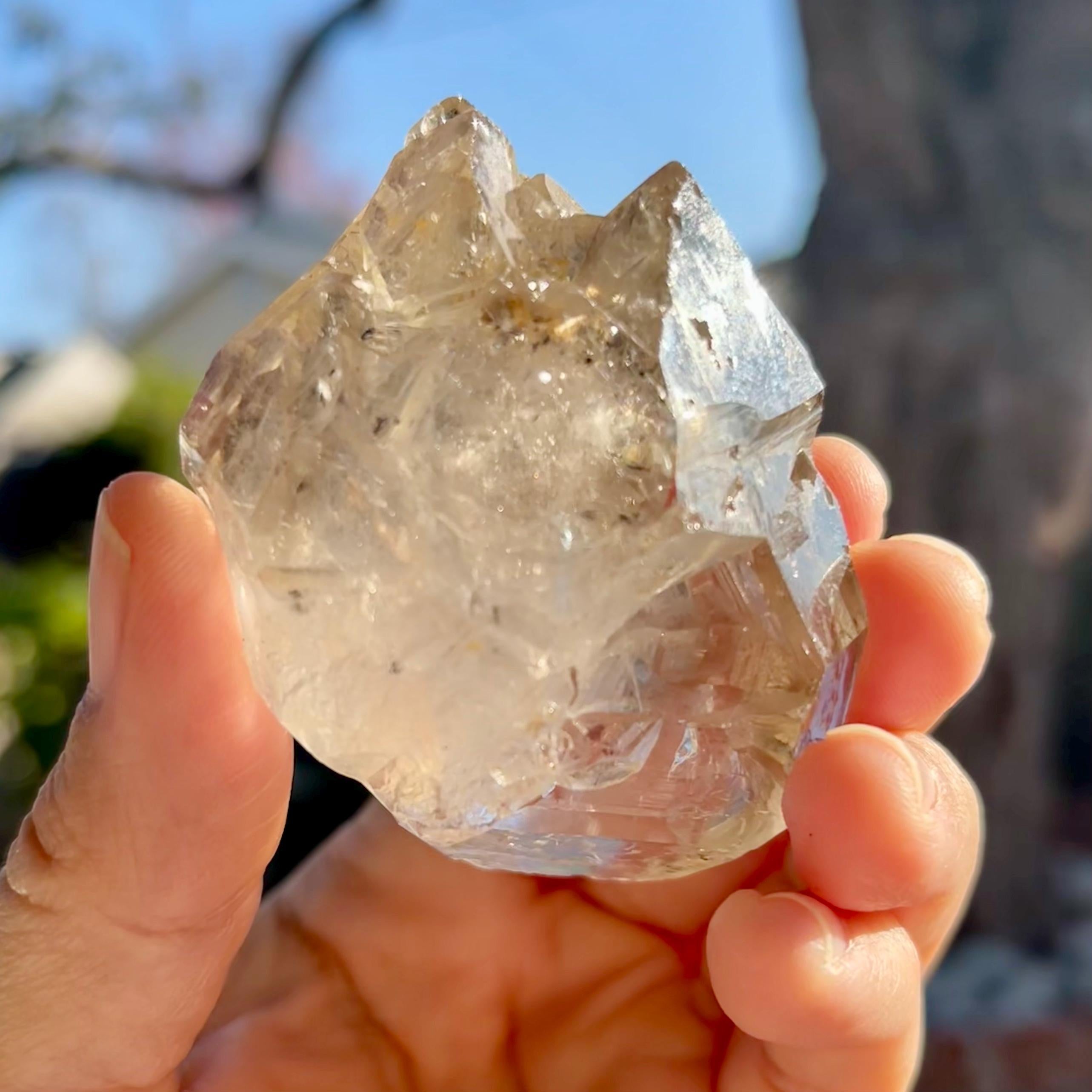 Double Terminated Tibetan Enhydro Quartz Point: Moving Inclusions, Ancient Water Crystal