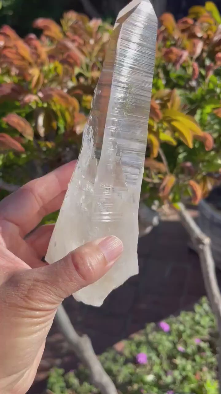 AAA Columbian Lemurian Quartz Wand: 7" Reiki-Charged Crystal for Energy Healing