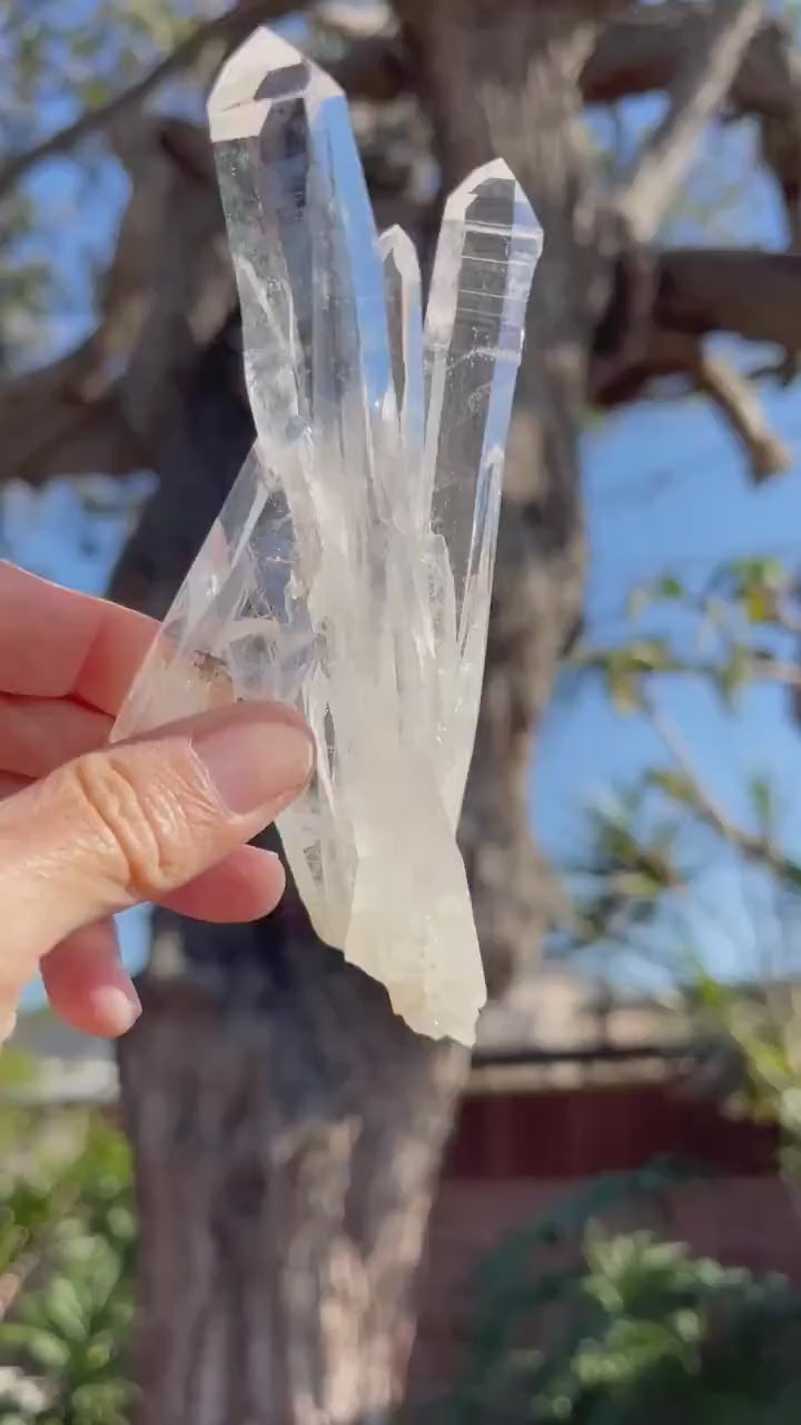 AAA Lemurian Quartz Cluster Wand: Reiki Energy Crystal, Colombia