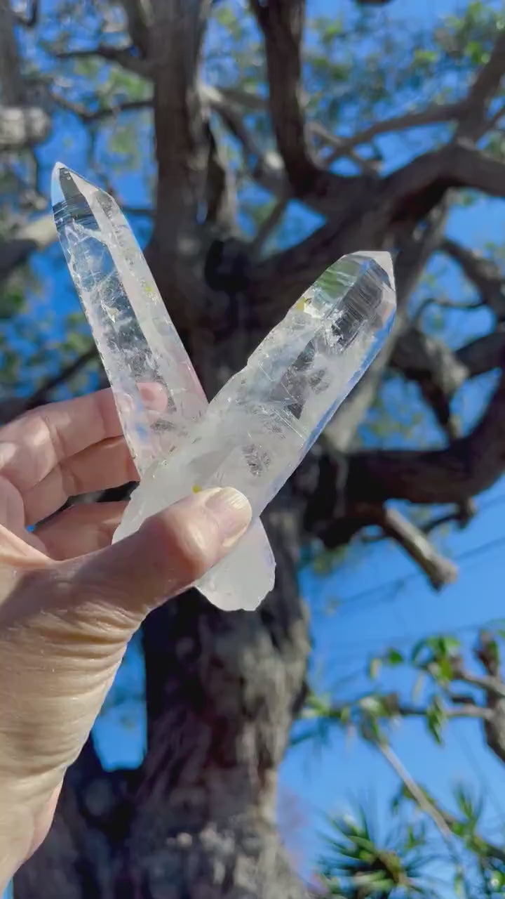 Twin Lemurian Quartz Wand from Columbia: Reiki Energy Crystal, Tantric Twin